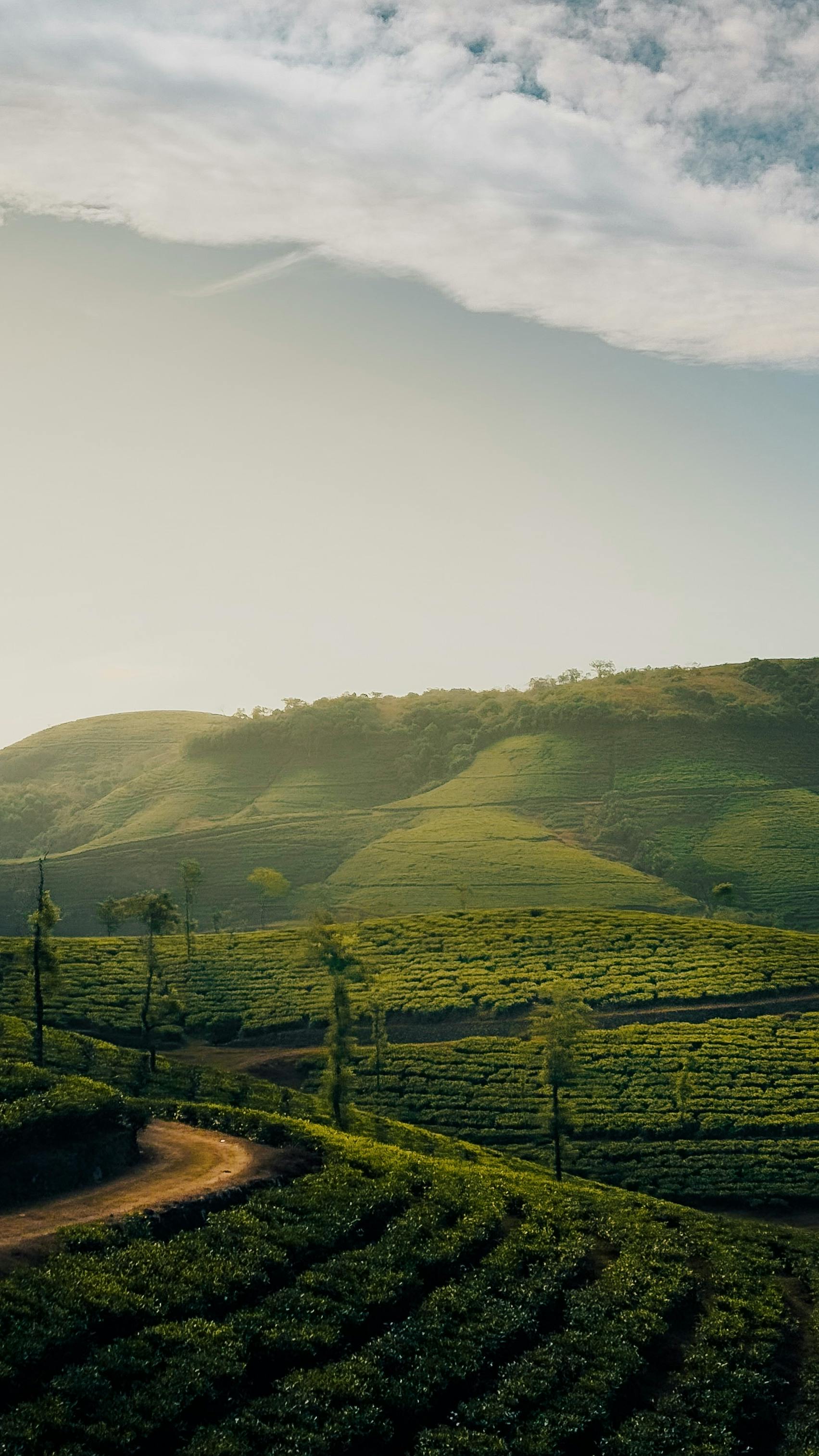 Kerala Extreme Adventure Package